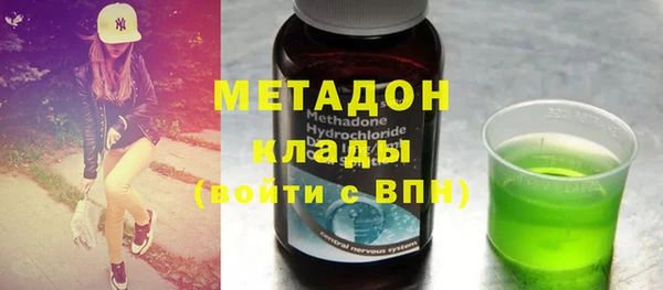 прущие грибы Абаза