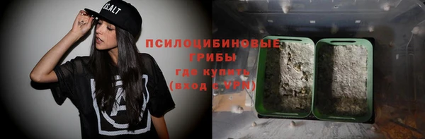 прущие грибы Абаза