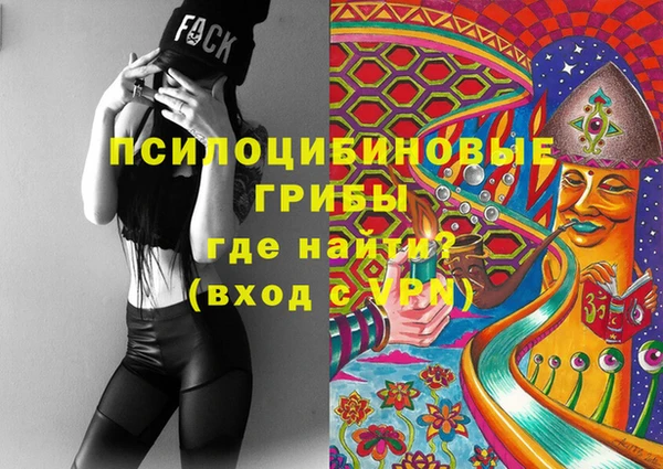 spice Алзамай
