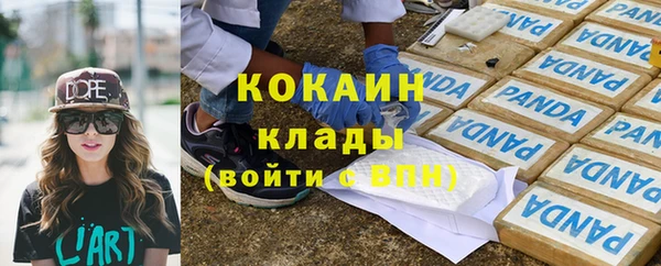 прущие грибы Абаза