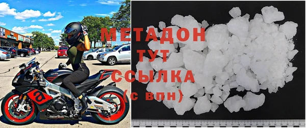 прущие грибы Абаза
