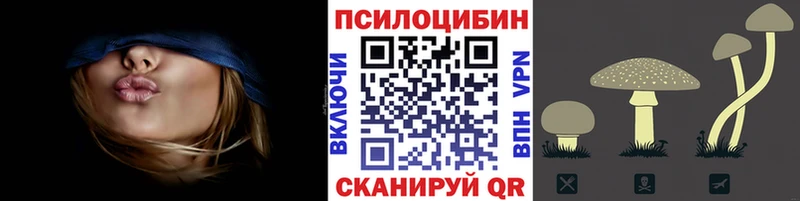 мега как зайти  Камышлов  Псилоцибиновые грибы Psilocybine cubensis 