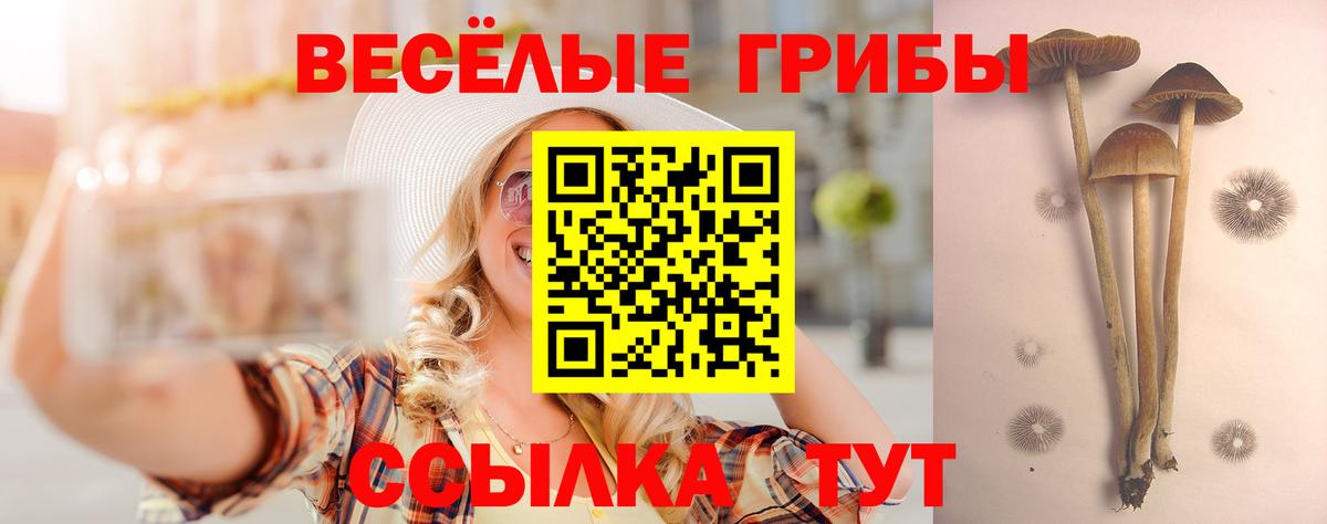 Камышлов  Галлюциногенные грибы MAGIC MUSHROOMS  Псилоцибиновые грибы Psilocybe  Вход с VPN 